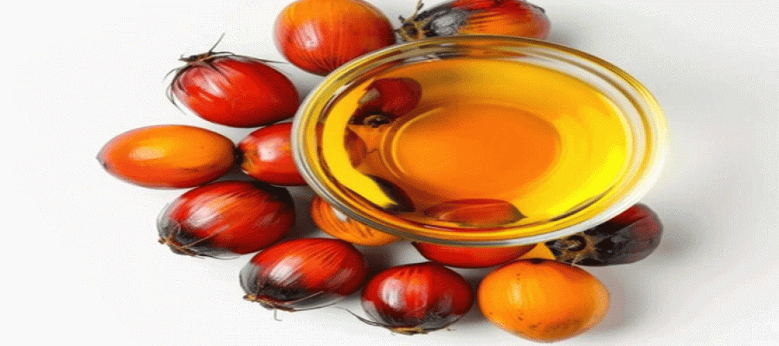 Palm oil prices remain stable due to rising crude oil prices and a strong ringgit