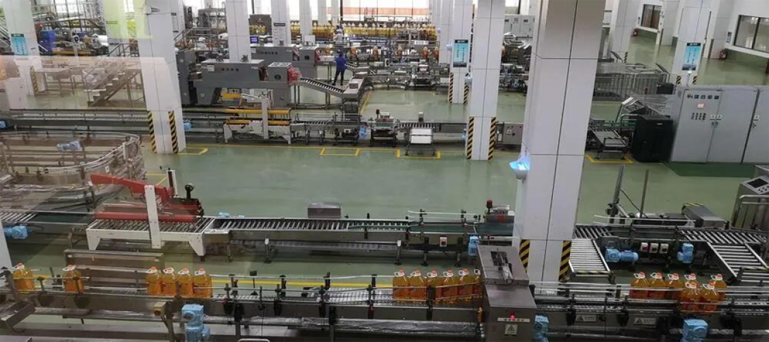 20tpd Crude Palm Oil Refinery plant in Peru